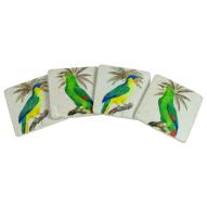 Parrots Coasters Set of 4